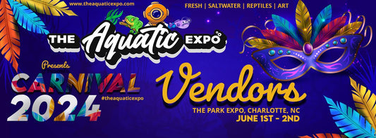 Tsugi Goldfish to be a Vendor at The Aquatic Expo 2024!